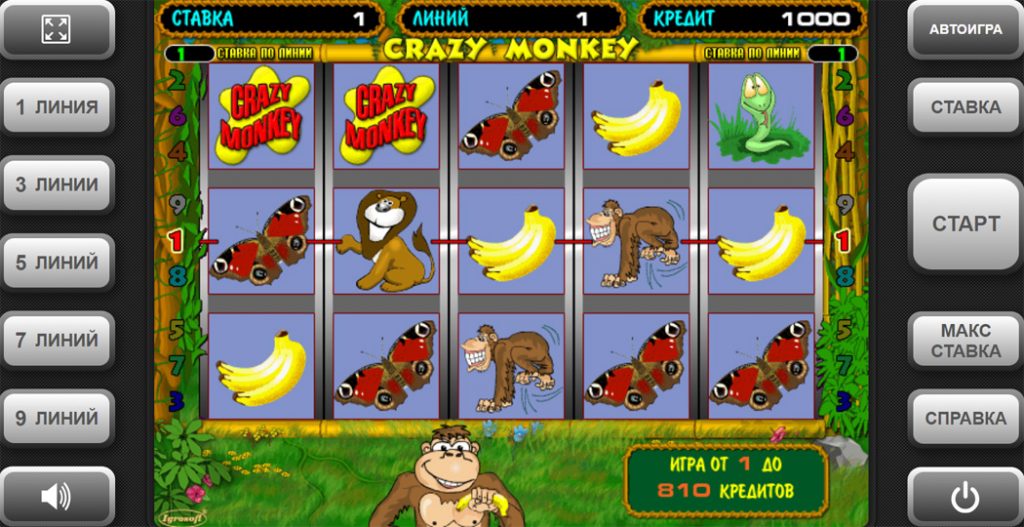 Интерфейс игрового автомата Crazy Monkey (Крейзи Манки)