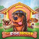 Слот Dog House
