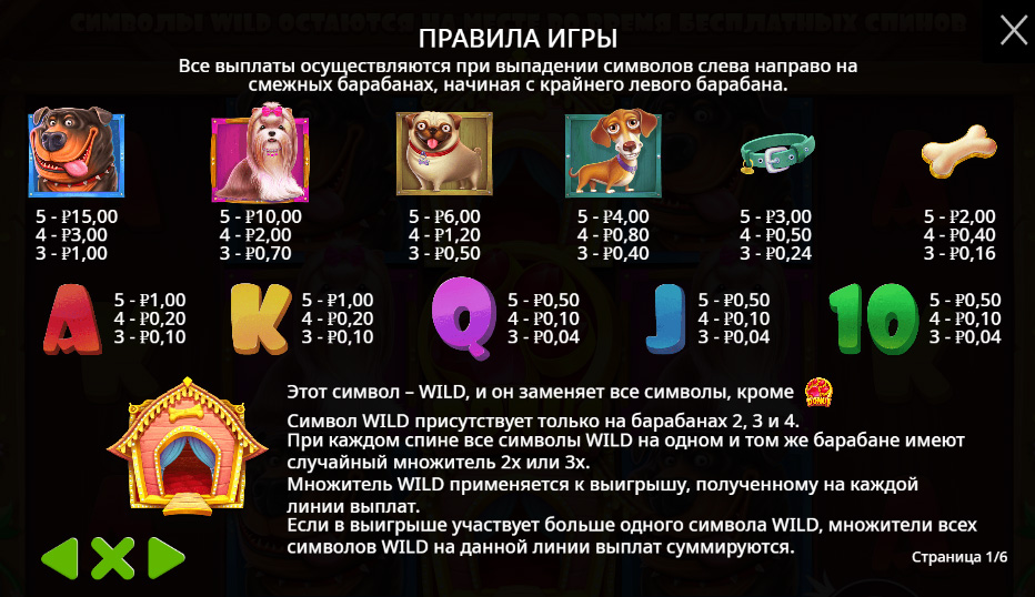 Символы в игре Dog House